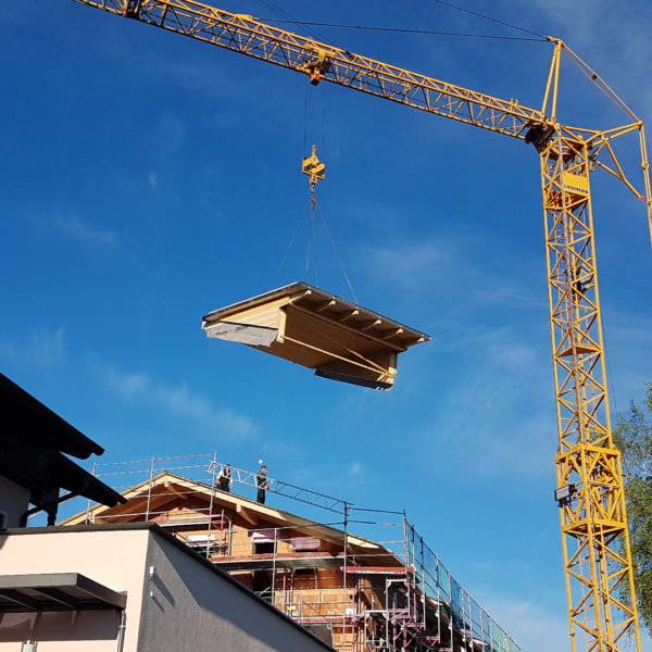Dachgaube Kranmontage